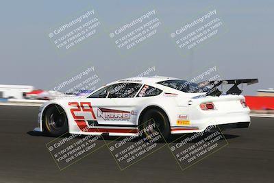 media/Feb-23-2025-CalClub SCCA (Sun) [[bfce4a12aa]]/Group 7/(Quallifying Race)Turn 3/